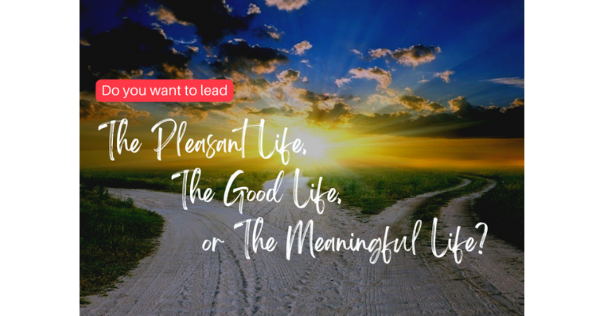Do you want to lead The Pleasant Life, The Good Life or The Meaningful Life?